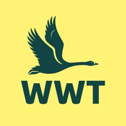 Значок WWT Washington